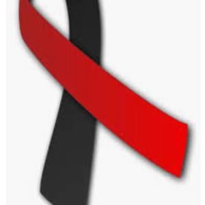 Meet your Posher, Shelly